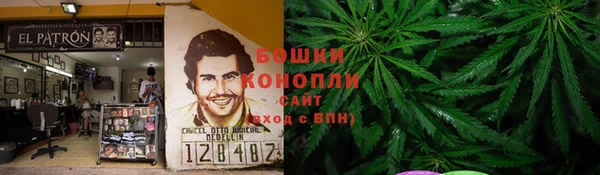 прущие грибы Белоозёрский
