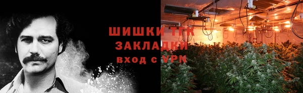 СК Богородск