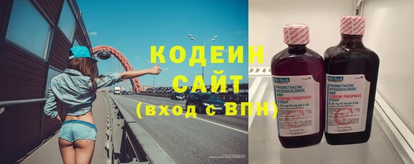 дмт Бородино