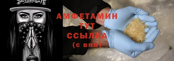 дмт Бородино