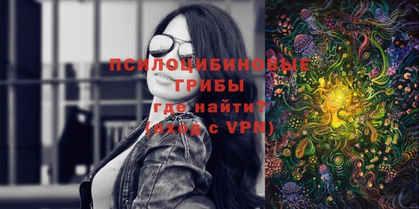 дмт Бородино