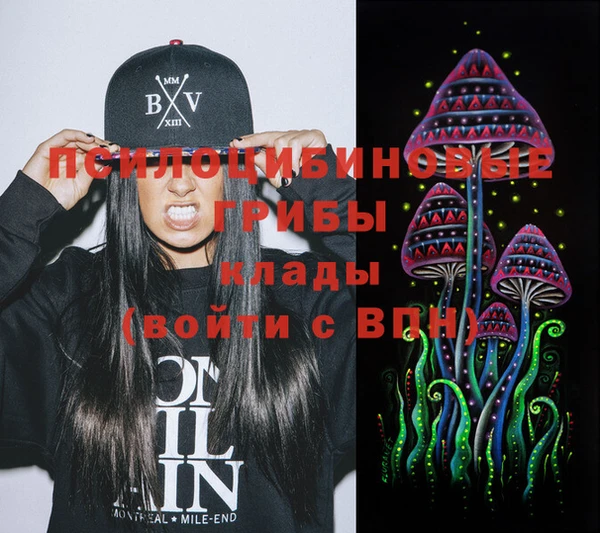 стаф Бронницы