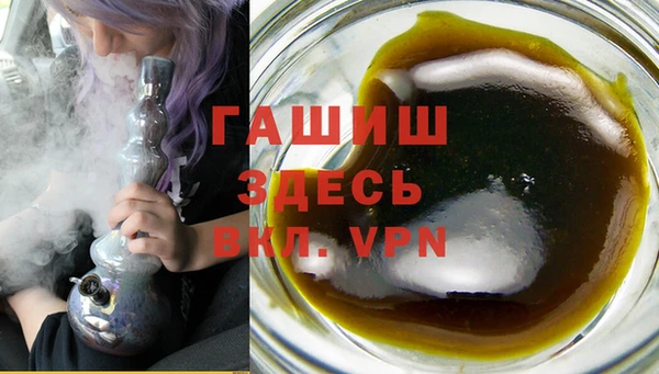 дмт Бородино