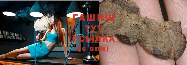 дмт Бородино