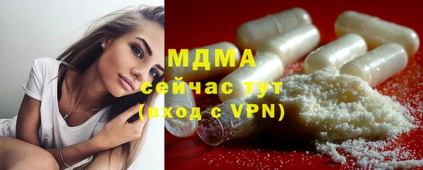дмт Бородино