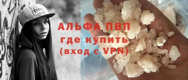 дмт Бородино