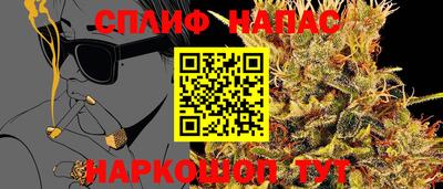мдпв Аргун