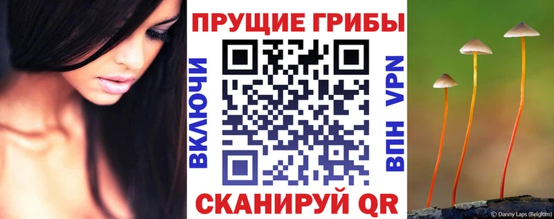Псилоцибиновые грибы Magic Shrooms  купить  цена  Верхний Уфалей 