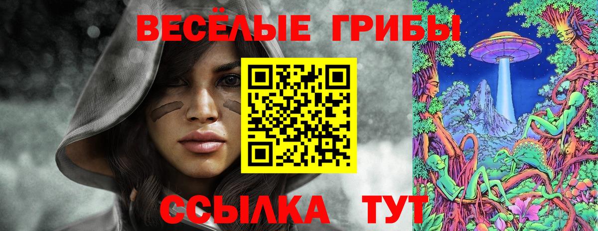 Псилоцибиновые грибы GOLDEN TEACHER Верхний Уфалей